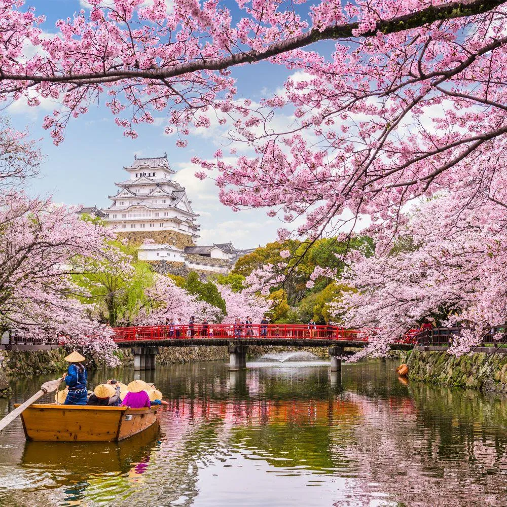 In harmony with nature